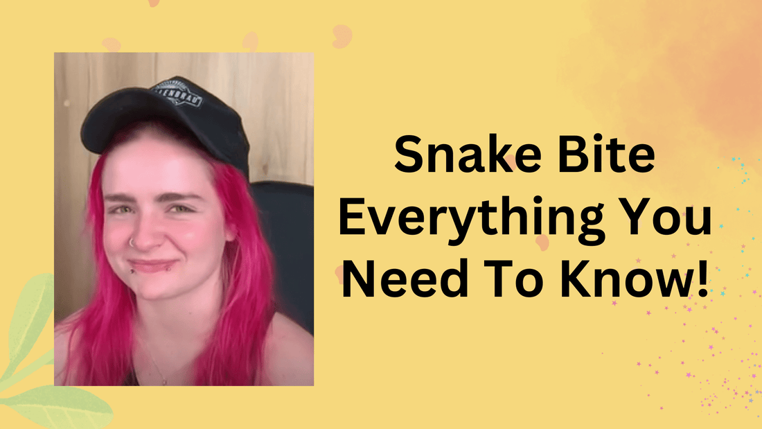 Everything you want to know about Snake Bite Piercing