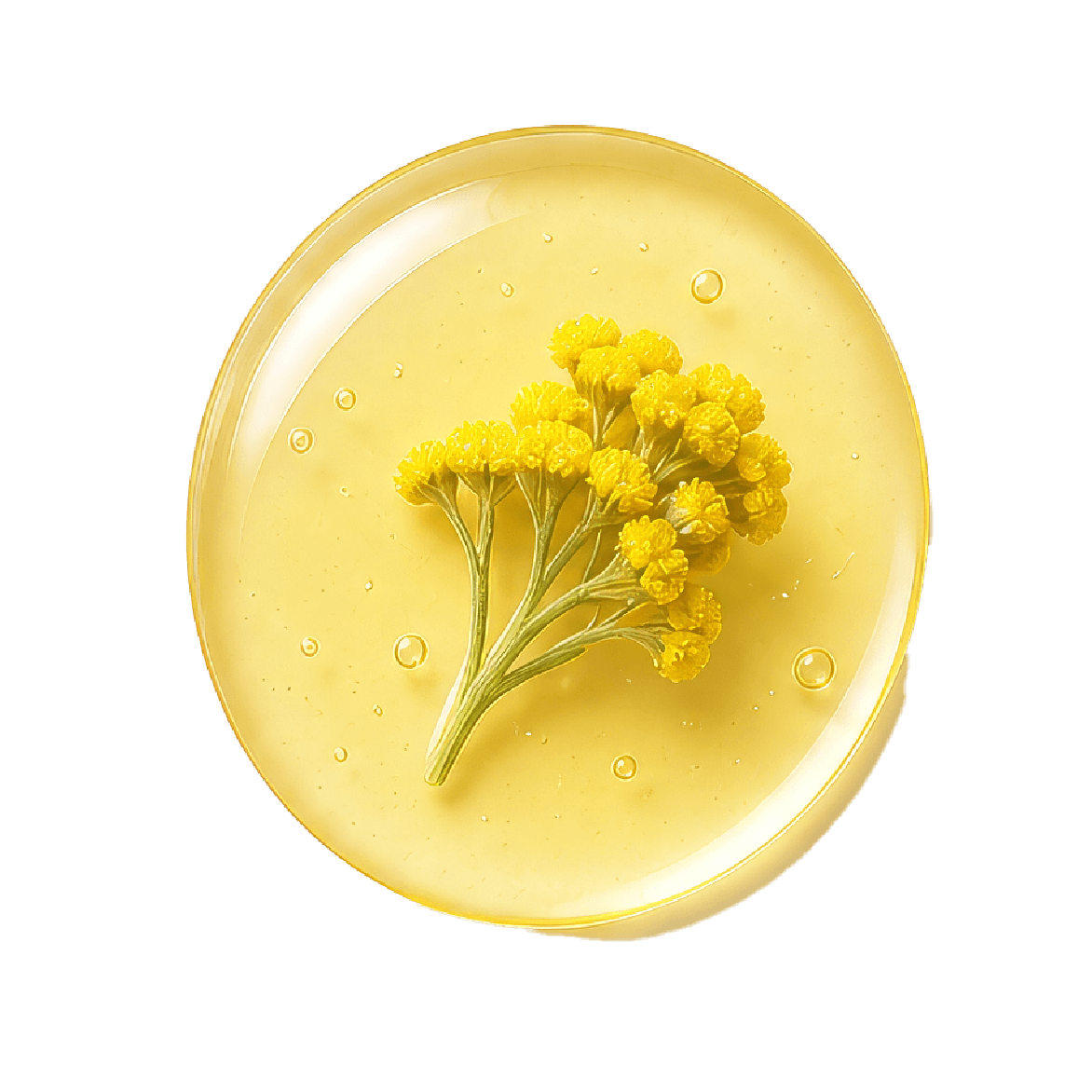 Helichrysum Oil