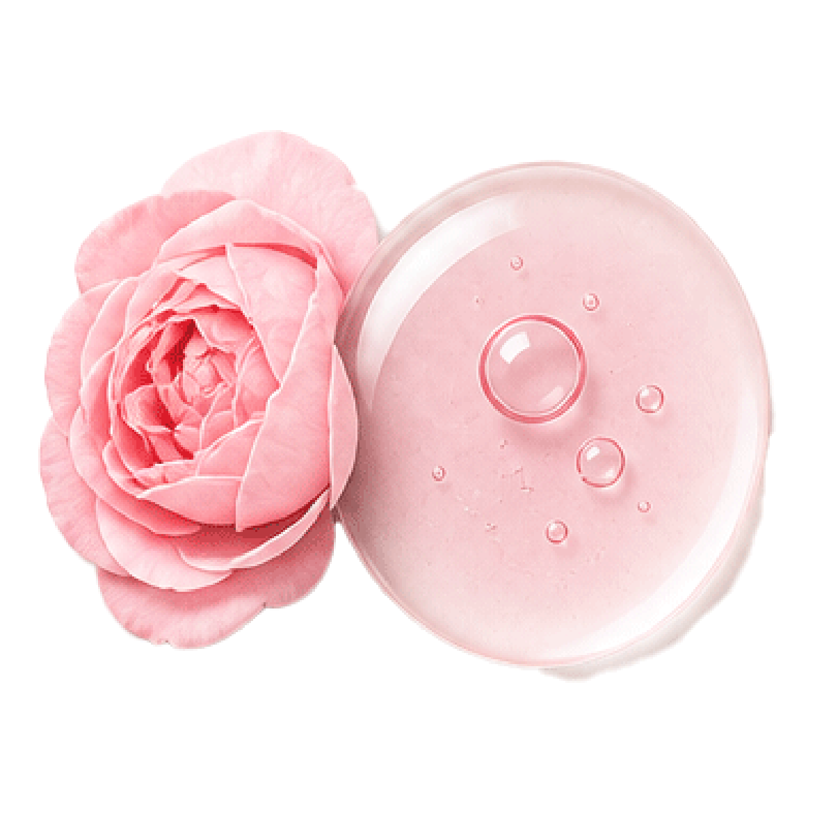 Rose Oil